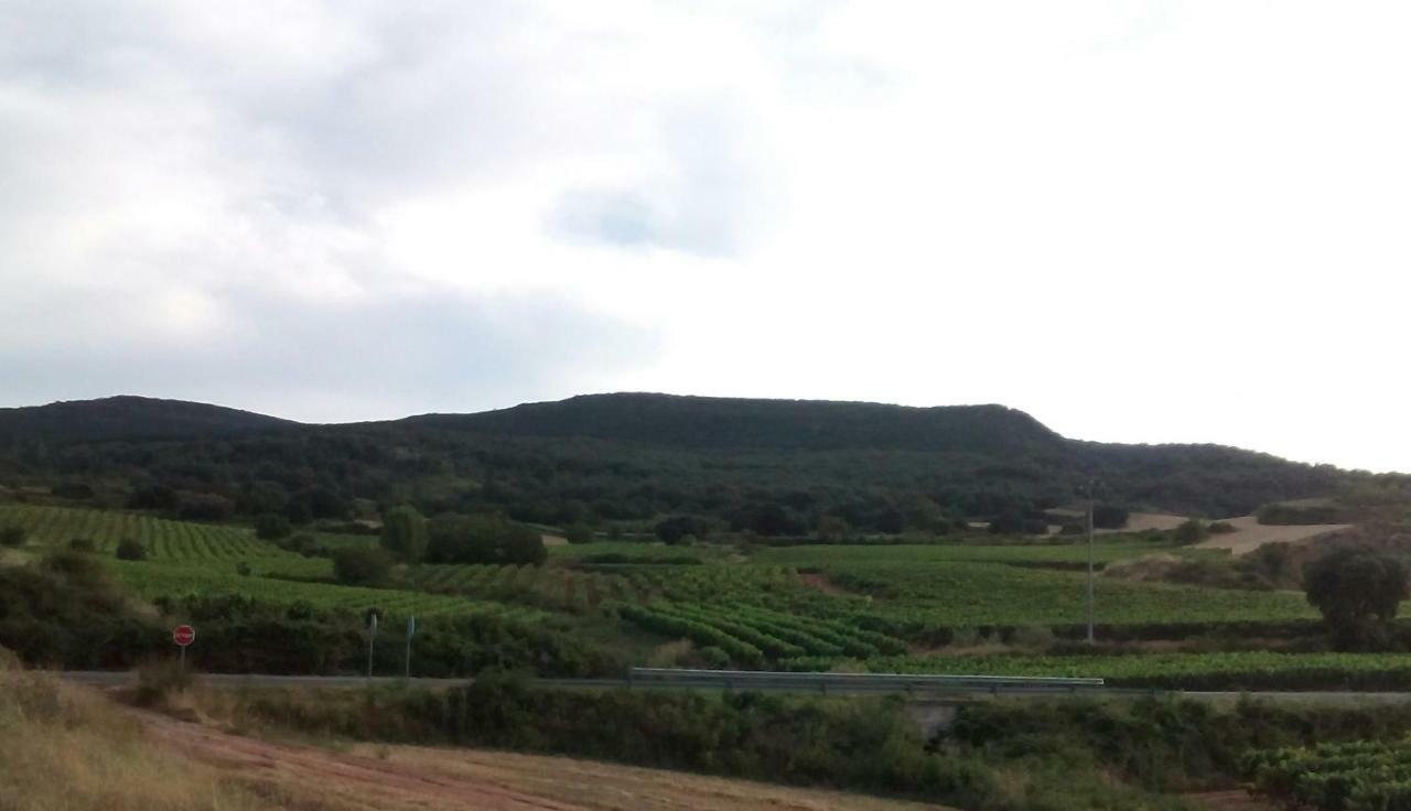 Vivienda Turistica San Martin Sotés